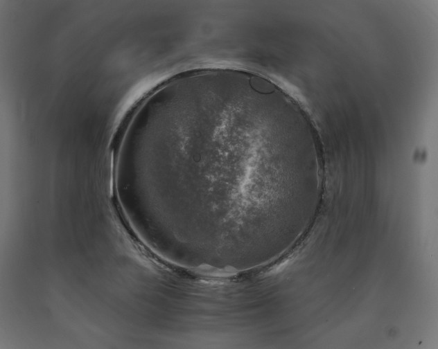 X0000091011223200708021541