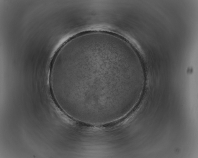 X0000091011224200708021541