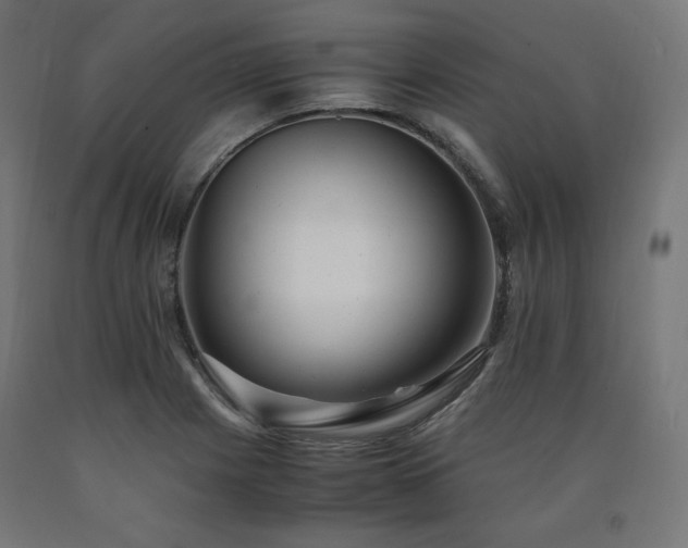 X0000091011225200708021541