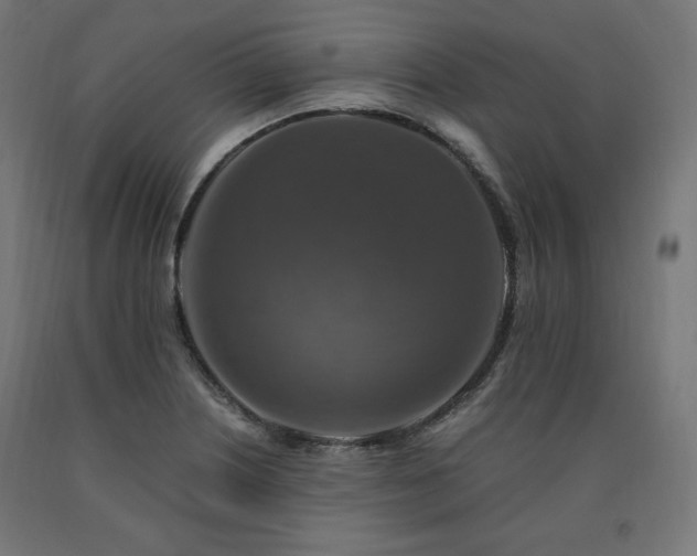 X0000091011226200708021541
