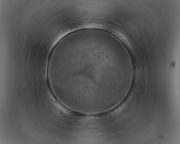 X0000091011228200708021541