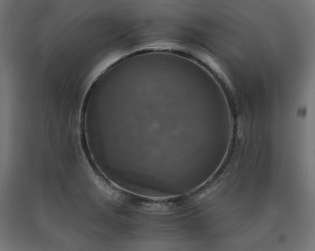X0000091011229200708021541