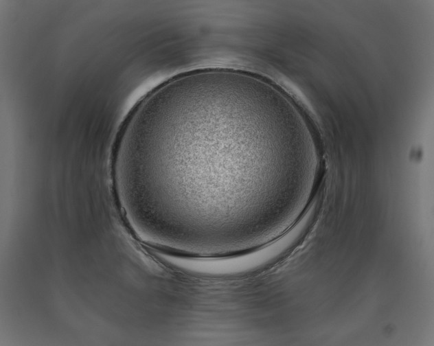 X0000091011230200708021541