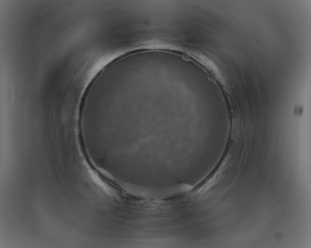 X0000091011231200708021541