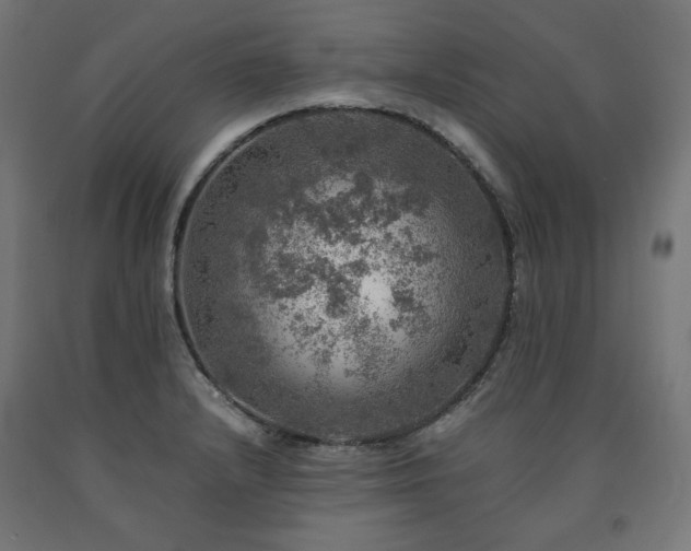 X0000091011232200708021541