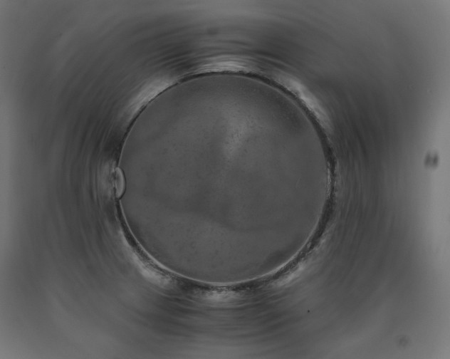 X0000091011233200708021541