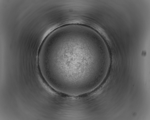 X0000091011234200708021541
