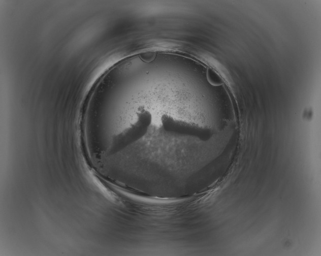 X0000091011235200708021541