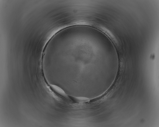 X0000091011236200708021541