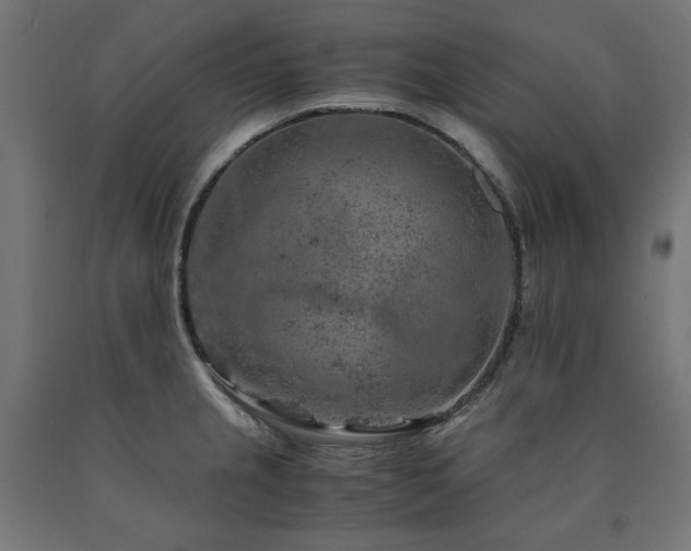X0000091011237200708021541