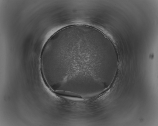 X0000091011239200708021542