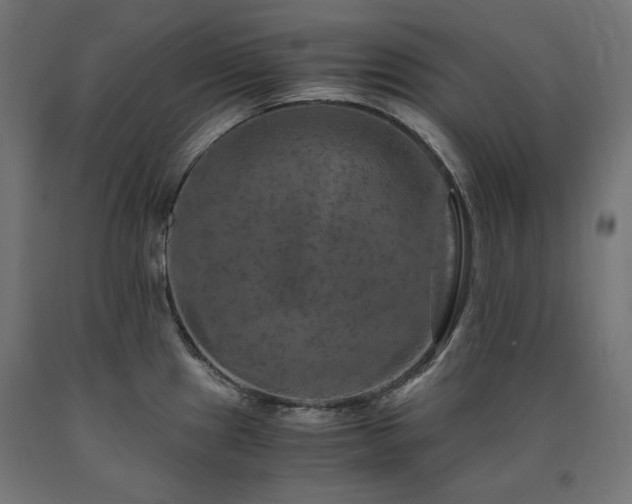 X0000091011241200708021542