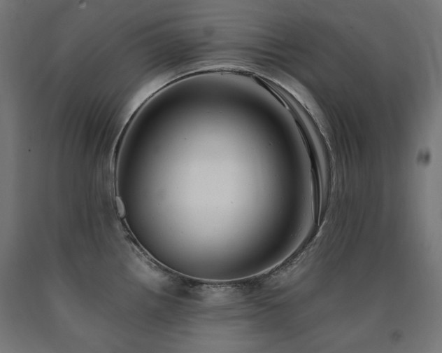 X0000091011242200708021542