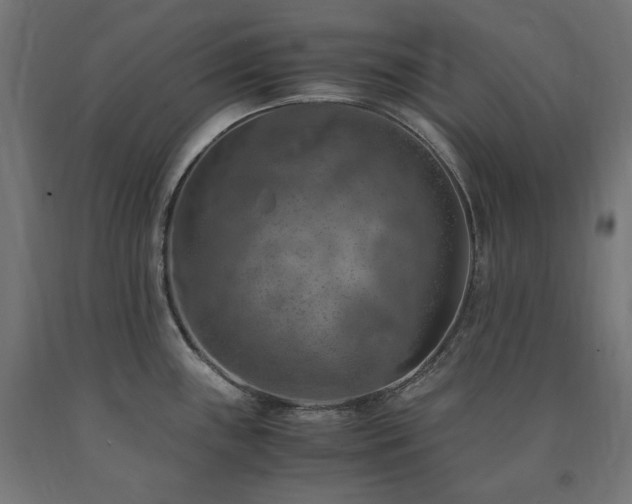 X0000091011243200708021542