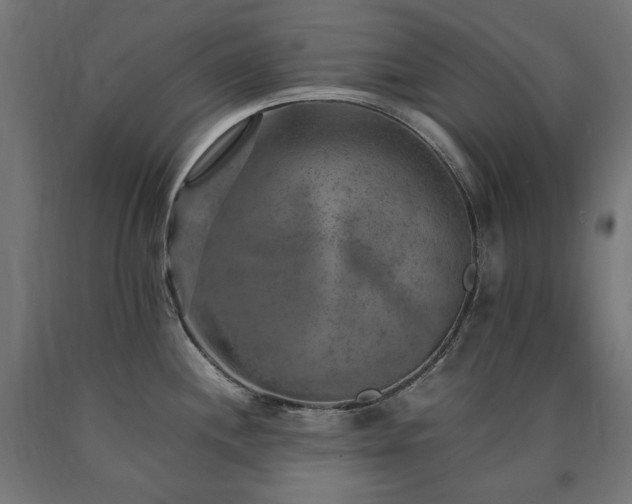 X0000091011244200708021542