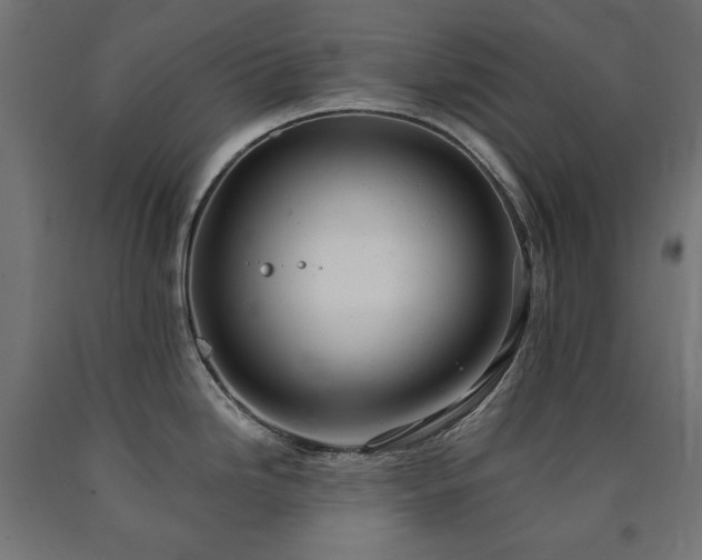 X0000091011246200708021542