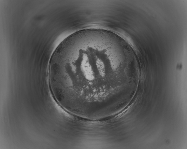 X0000091011247200708021542
