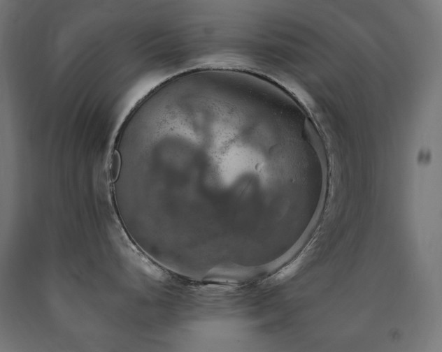 X0000091011248200708021542