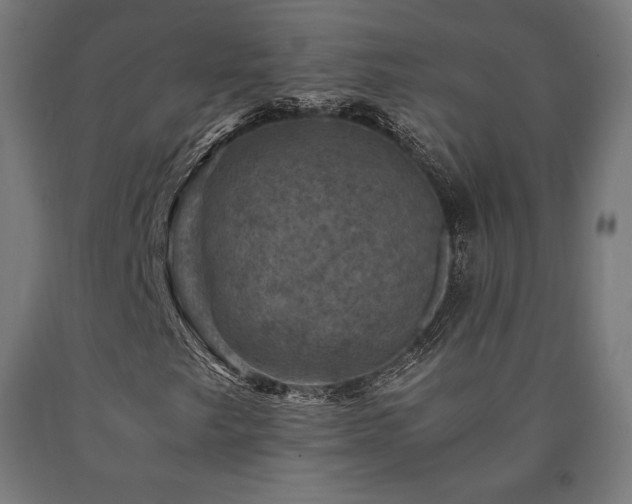 X0000091011249200708021541