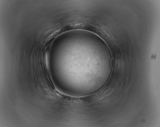 X0000091011250200708021541