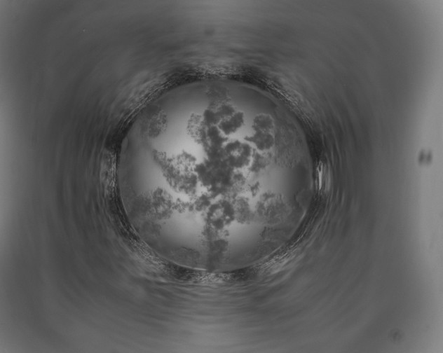 X0000091011251200708021541