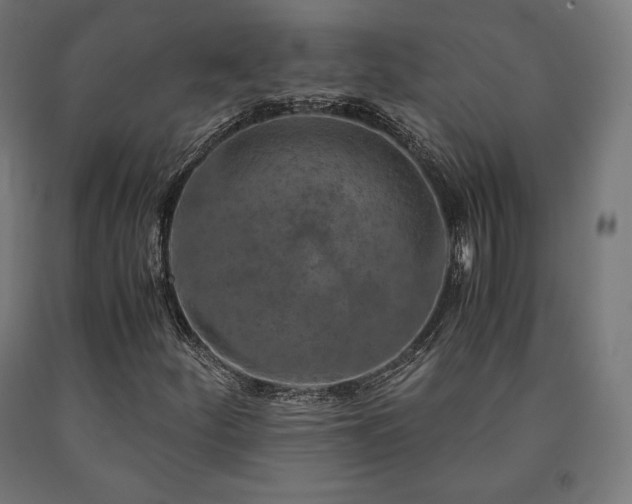 X0000091011252200708021541