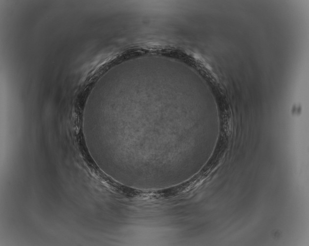 X0000091011253200708021541