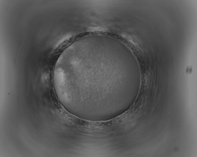X0000091011254200708021541