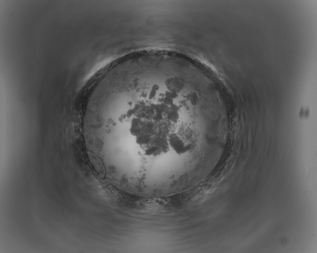 X0000091011255200708021541