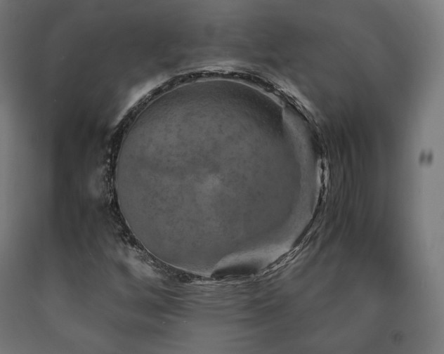 X0000091011256200708021541