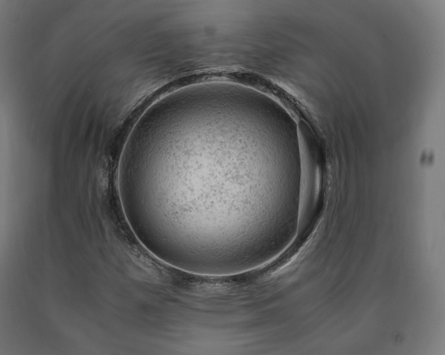 X0000091011257200708021541