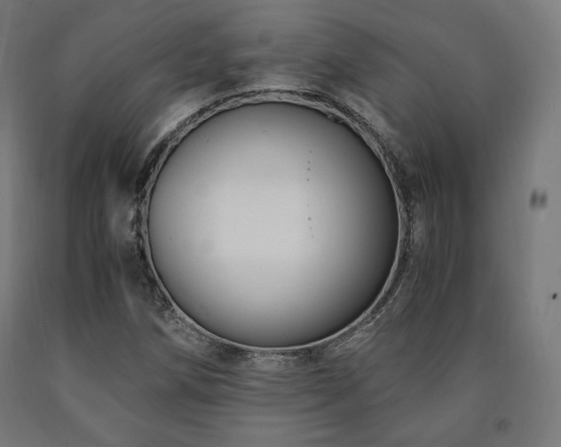 X0000091011258200708021541