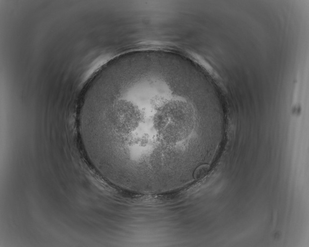 X0000091011259200708021541