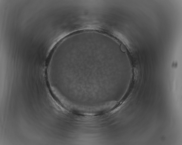X0000091011260200708021541