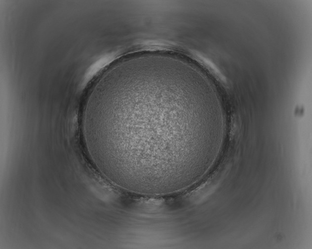 X0000091011261200708021541