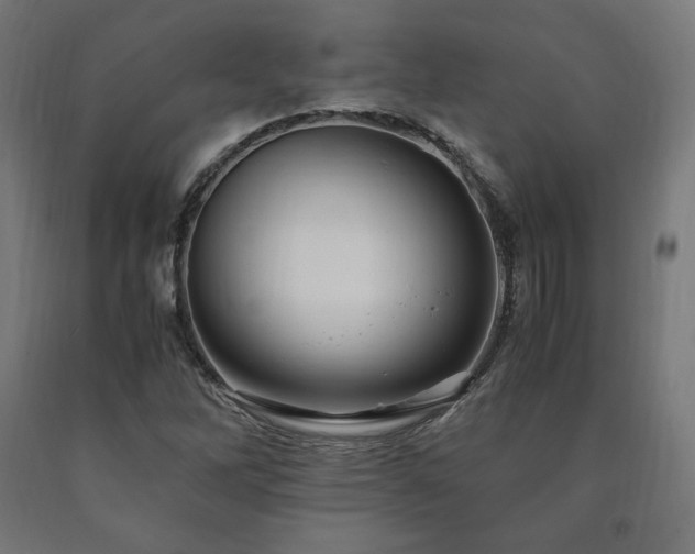 X0000091011262200708021541