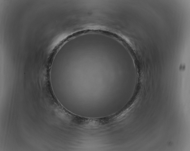 X0000091011263200708021541