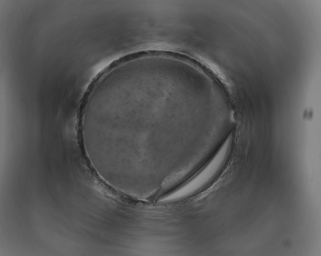 X0000091011264200708021541