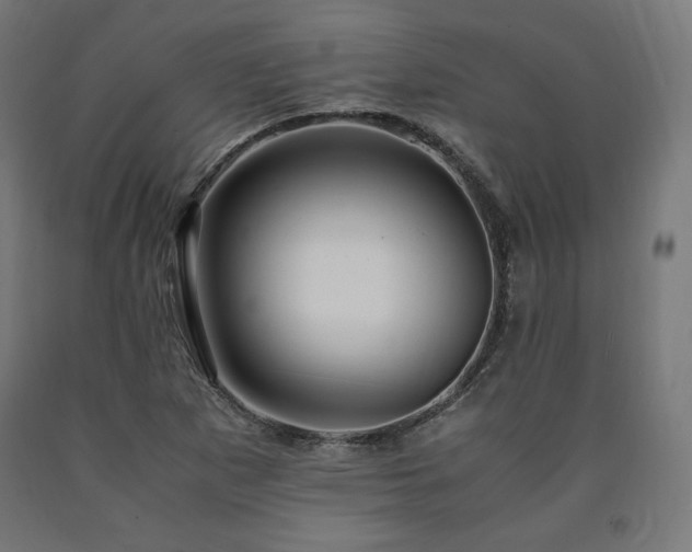 X0000091011265200708021541