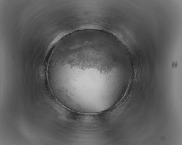 X0000091011266200708021541