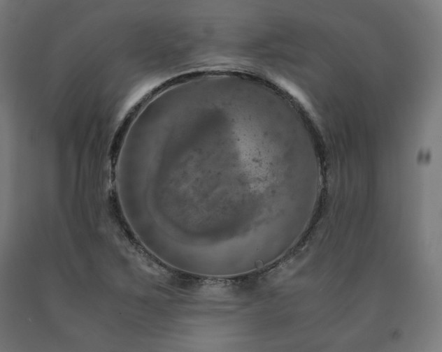 X0000091011267200708021541
