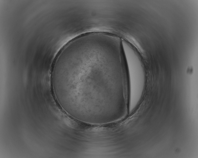 X0000091011268200708021541