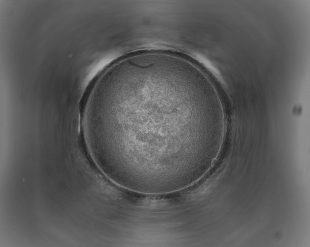 X0000091011269200708021541