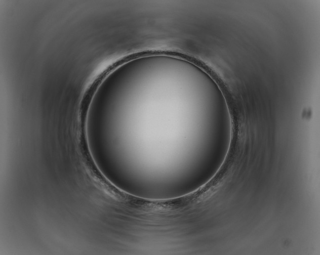 X0000091011270200708021541