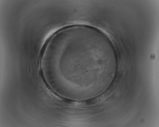 X0000091011271200708021541
