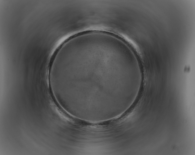 X0000091011272200708021541