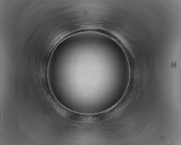 X0000091011273200708021541