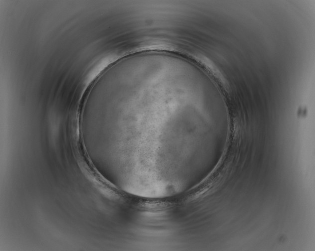 X0000091011274200708021541