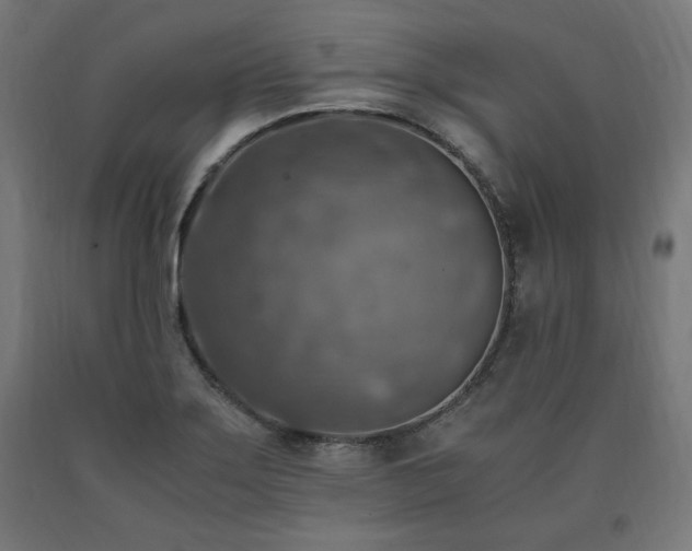 X0000091011275200708021541