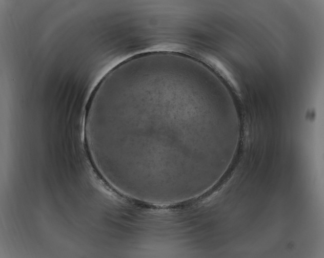 X0000091011276200708021541